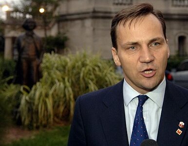 Miniatura: "Jest mi przykro". Sikorski nie przeprosił