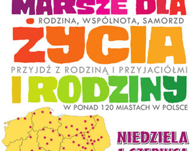 Miniatura: Babiarz, Terlikowski, Pospieszalski,...