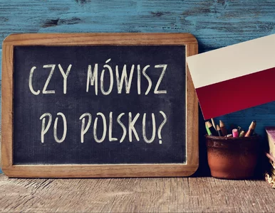 Miniatura: QUIZ z języka polskiego dla prawdziwych...
