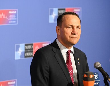 Miniatura: Sikorski chce się zmierzyć z Kaczyńskim....