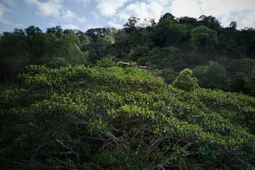 Wakacyjny dom w Kostaryce, projekt Formafatal Linka, Formafatal, Kostaryka