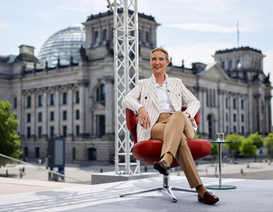 Miniatura: Niecodzienne sceny w niemieckiej...