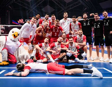 Miniatura: Polscy siatkarze zaczynają Ligę Narodów....