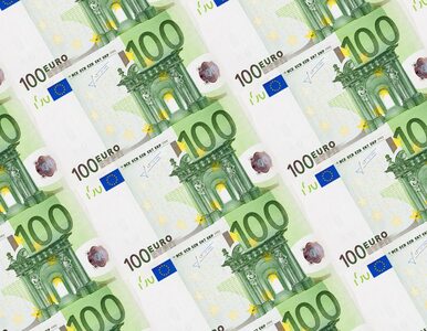 Miniatura: Popyt na pożyczki z EBC wyższy, niż...