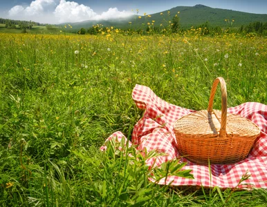 Miniatura: Negatywna droga do prawdziwego szczęścia