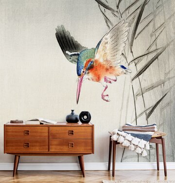 Tapeta z motywem kolibra 