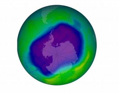 Miniatura: Rekordowy ubytek ozonu nad Arktyką....