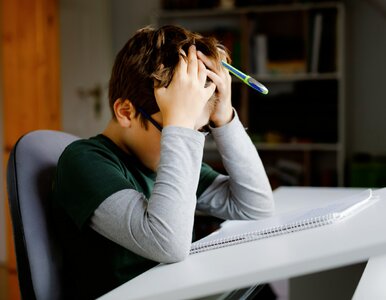 Miniatura: Myślisz, że znasz polską ortografię?...