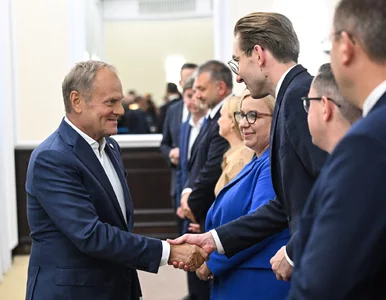 Miniatura: Afera wokół KPO. Na to poszły gigantyczne...