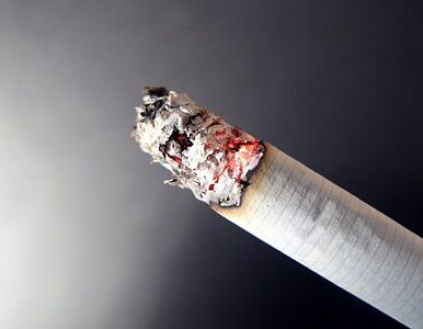 Miniatura: "W 2016 r. paczka papierosów będzie...