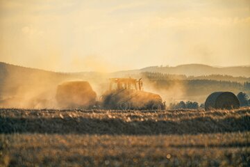 Żniwa w&nbsp;Top Farms &ndash; zdjęcie ilustracyjne