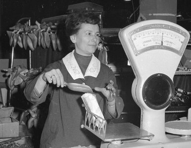 Miniatura: QUIZ z PRL-u. Tylko wychowani w tamtych...