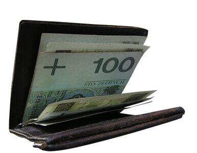 Miniatura: Polacy zbiednieli - pensje są niższe niż...