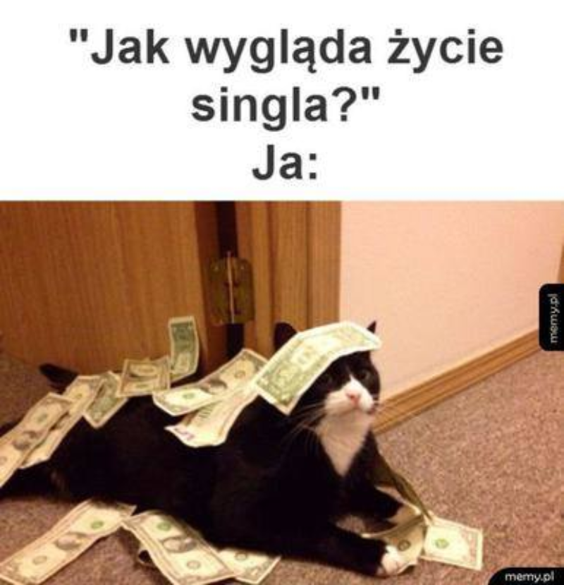 Mem na Dzień Singla 