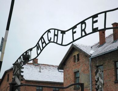 Miniatura: Są wyroki za kradzież napisu z Auschwitz