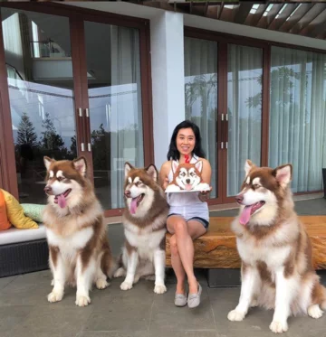 Właścicielka ze swoimi psami 