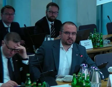 Miniatura: Komisja ds. wyborów korespondencyjnych...