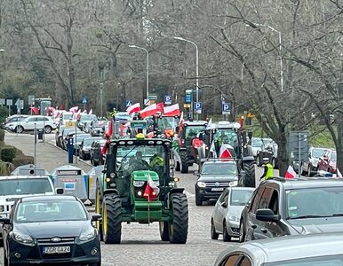 Blisko 500 rolników i 90 ciągników w Szczecinie. „Tylko upór jest w...
