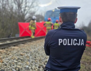 Miniatura: Zmiażdżone auto, ofiary śmiertelne....