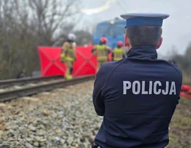 Miniatura: Zmiażdżone auto, ofiary śmiertelne....