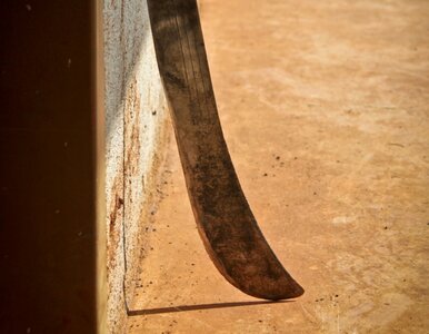 Miniatura: 1,5-2 lat więzienia za atak maczetami w...