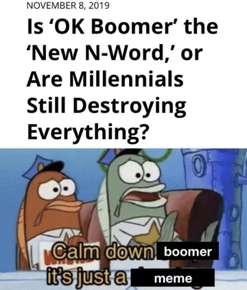 Mem do hasła „OK boomer” 