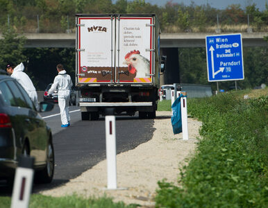 Miniatura: 71 ciał  w ciężarówce. Węgrzy zatrzymali...