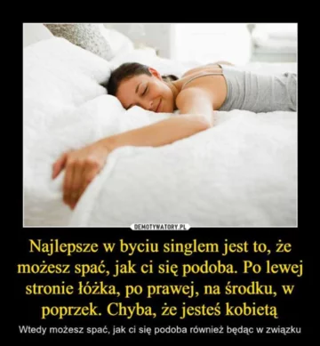 Mem na Dzień Singla 