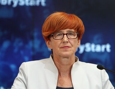 Miniatura: Minister Rafalska ujawniła nowe dane o...