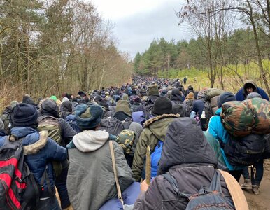 Miniatura: Niemcy odrzucają propozycję Białorusi w...