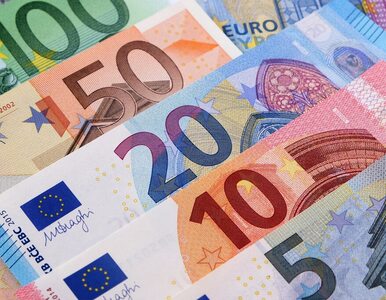 Miniatura: Mija 20 lat od wprowadzenia Euro. Polacy...