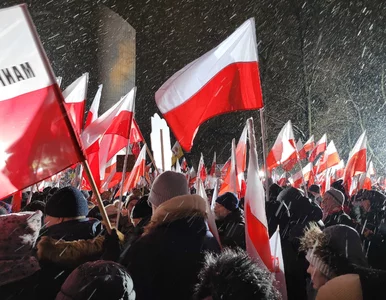 Miniatura: Wizerunki polityków PiS na Pomniku AK....