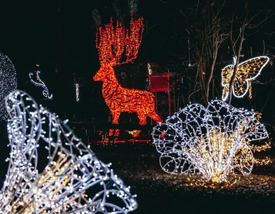 Miniatura: Warszawska atrakcja jak z bajki wraca. 20...