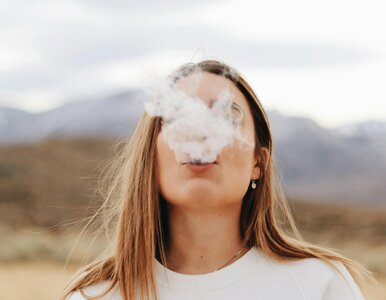 Miniatura: Wiceminister kontra zdrowy rozsądek....