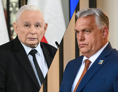 Miniatura: Orban spotka się z Kaczyńskim? Na jaw...
