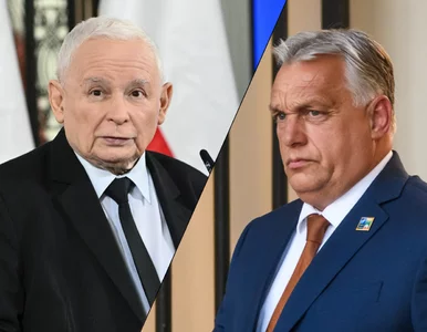 Miniatura: Orban spotka się z Kaczyńskim? Na jaw...