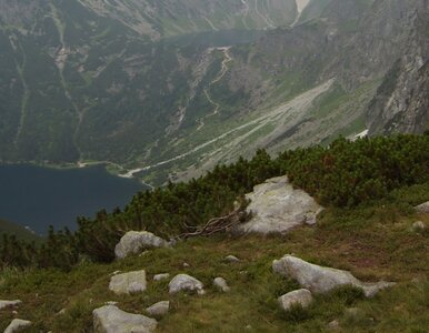 Miniatura: Awantura o Morskie Oko. "Turystów się nie...