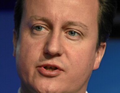 Miniatura: Cameron chce Turcji w UE i jest zły na...