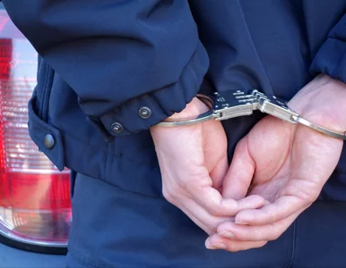 Miniatura: 19-letni Polak wywołał skandal w Grecji....