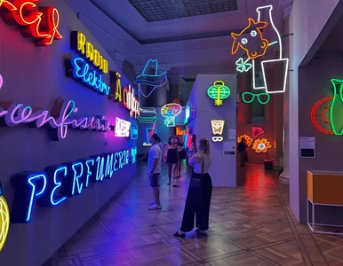 Miniatura: Nowa wystawa neonów – prawdziwa gratka dla...