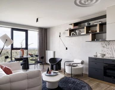 Miniatura: Nieustawne mieszkanie?  Architektka...