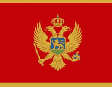 Miniatura: Czarnogóra sprzedaje przedsiębiorstwa...