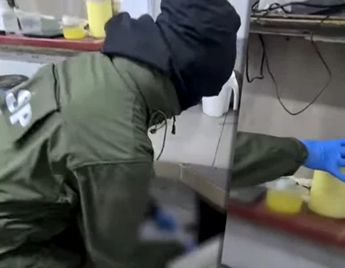 Miniatura: Sukces CBŚP. Namierzyli laboratorium i...