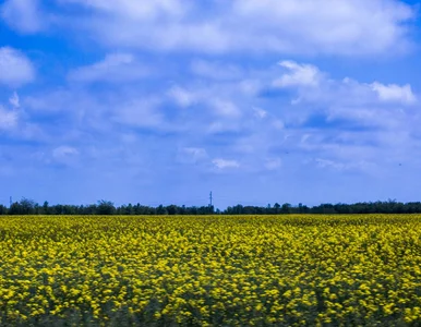 Miniatura: Komisja Standaryzacji Nazw Geograficznych...