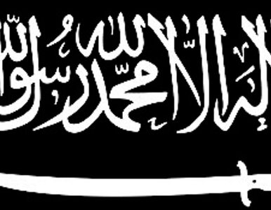 Miniatura: USA: Emirat Kaukaski to terroryści