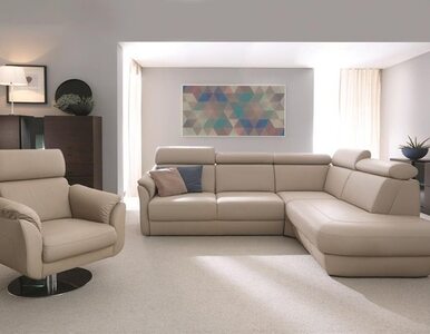 Miniatura: Jak wybrać sofę idealną?