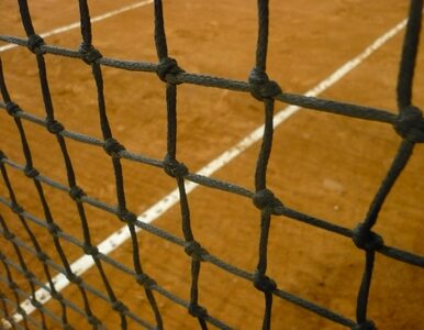 Miniatura: WTA: polscy tenisiści spadają w rankingu