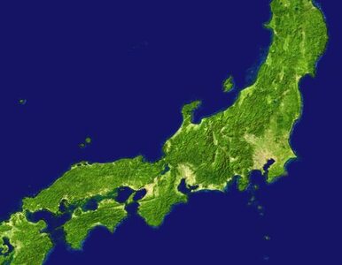 Miniatura: W Japonii zatrzęsła się ziemia. Znowu