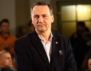 Miniatura: Niemcy wychwalają polskiego polityka. „To...