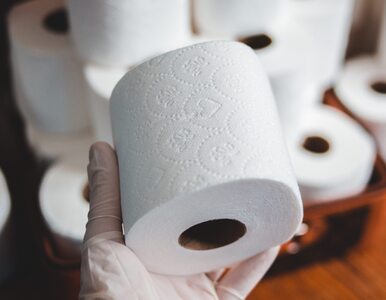 Miniatura: Kupił 4800 rolek papieru toaletowego, aby...